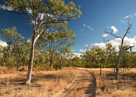 DomaCom Rural Road Australia